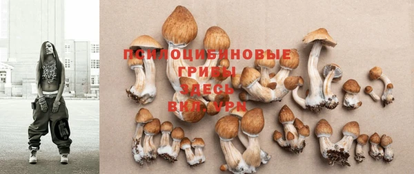 герыч Покачи